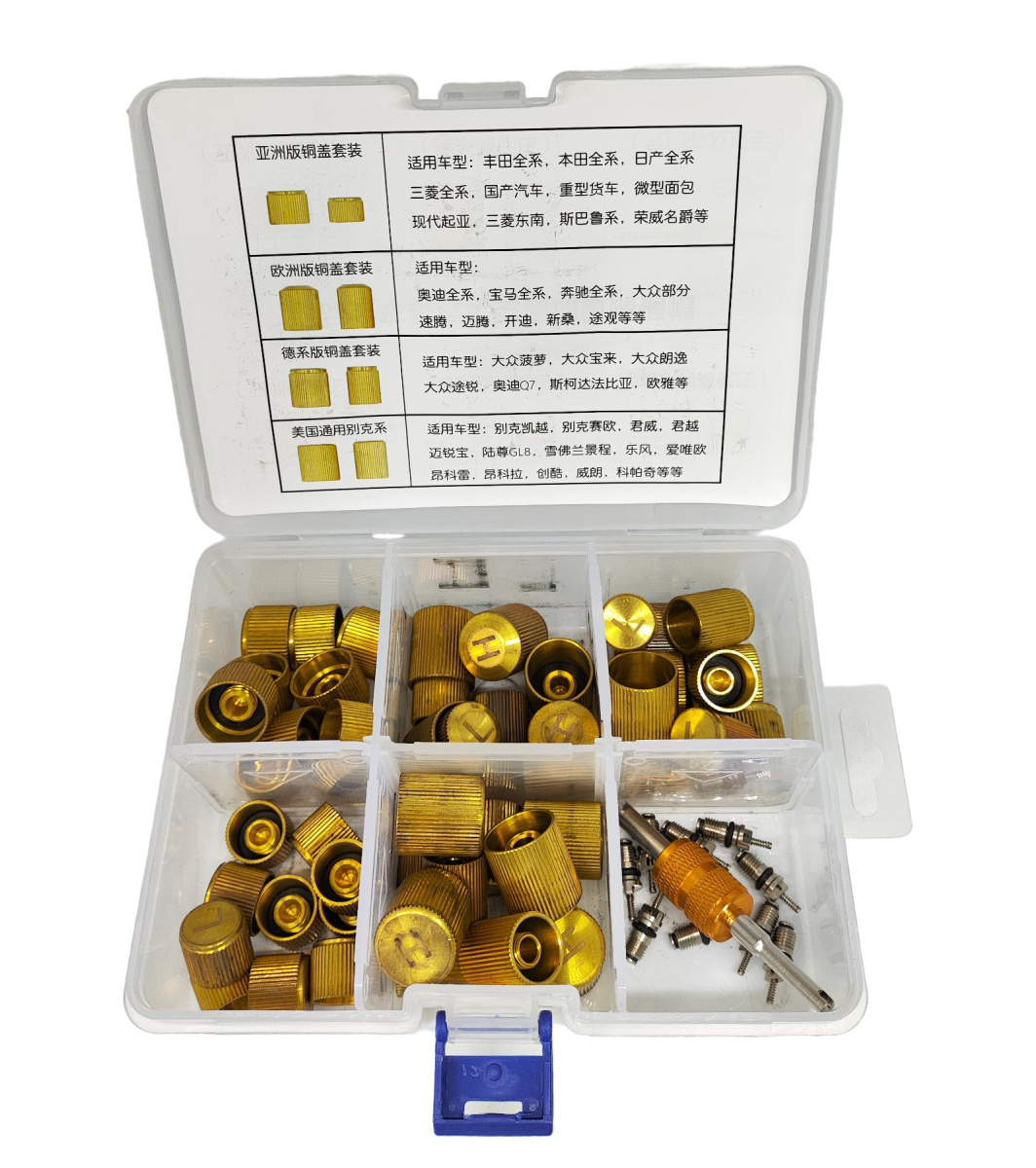 Набор золотников и стальных колпачков